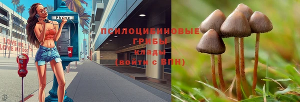 каннабис Богданович