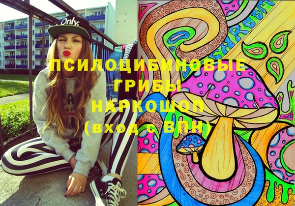 прущая мука Богородицк
